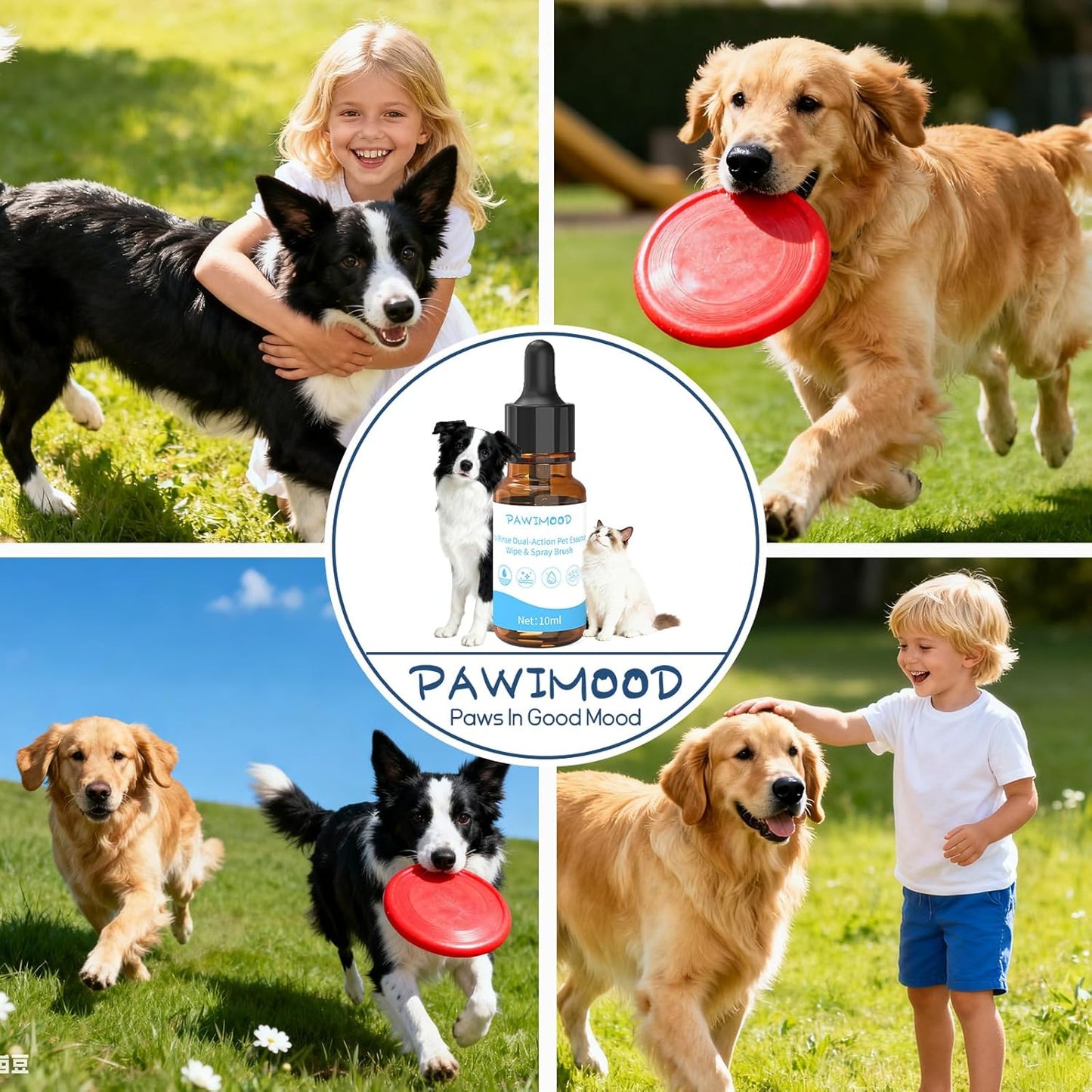 Concentrated Waterless Shampoo with Grey Grooming Glove, No-Rinse & Lick-Safe Essence for Steam Brushes, Gentle Care for Cats/Kittens/Seniors, Manage Shedding & Freshness