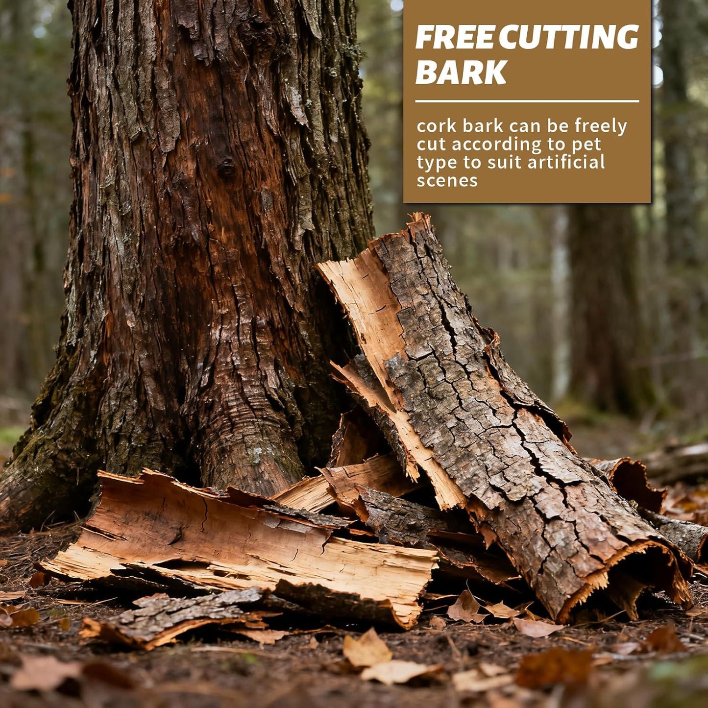 2pcs Cork Bark 12x8 inch Natural Cork Reptile Background, Terrarium Climbing Mat Wall Decor for Bearded Dragons, Lizards, Geckos, Turtles, Snakes, Frogs, Spiders - Habitat Accessories