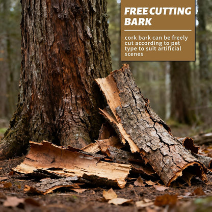 2pcs Cork Bark 12x8 inch Natural Cork Reptile Background, Terrarium Climbing Mat Wall Decor for Bearded Dragons, Lizards, Geckos, Turtles, Snakes, Frogs, Spiders - Habitat Accessories