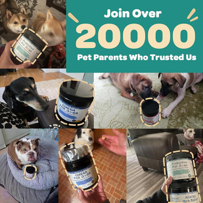 ZEBORA Probiotics for Dogs - Dog Probiotics, with Colostrum, Omega-3, Support Digestive Health, Seasonal Allergies, Itchy Ears, Dog Allergy Relief & Itching Skin Relief, 90 Scoops, Chicken Flavor