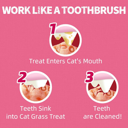 Just Try 13.4 OZ Urinary Tract Health Cat Treats for Indoor Cats, Health Supplement Cranberry & D-Mannose for Kidney Bladder and UT Support, Crunchy Chews Cat Loves