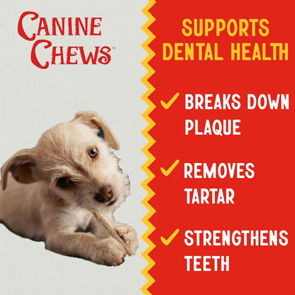 Canine Chews 5" Munchy Rawhide Sticks for Small Dogs Munchy Dog Snack Sticks 100 Pack (Chicken)