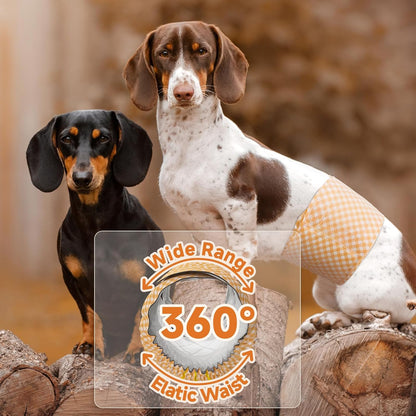 Male Dog Diapers Bundle with Male Dog Wraps, XS, 40 Counts