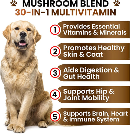 Turkey Tail Mushroom Supplement for Dogs - 170 Chews - Mushrooms for Dogs - Reishi, Lion’s Mane, Glucosamine Multivitamin - Immune Booster, Gut, Hip & Joint Health Support Vitamins, Energy & Skin