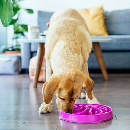 Outward Hound Large Slow Feeder Bowl, Puzzle Maze for Fast Eaters, Medium to Large Dogs, Helps Prevent Bloat & Aid Digestion, Holds 4 Cups Wet or Dry Food, Non-Slip, Made Without BPA, Purple