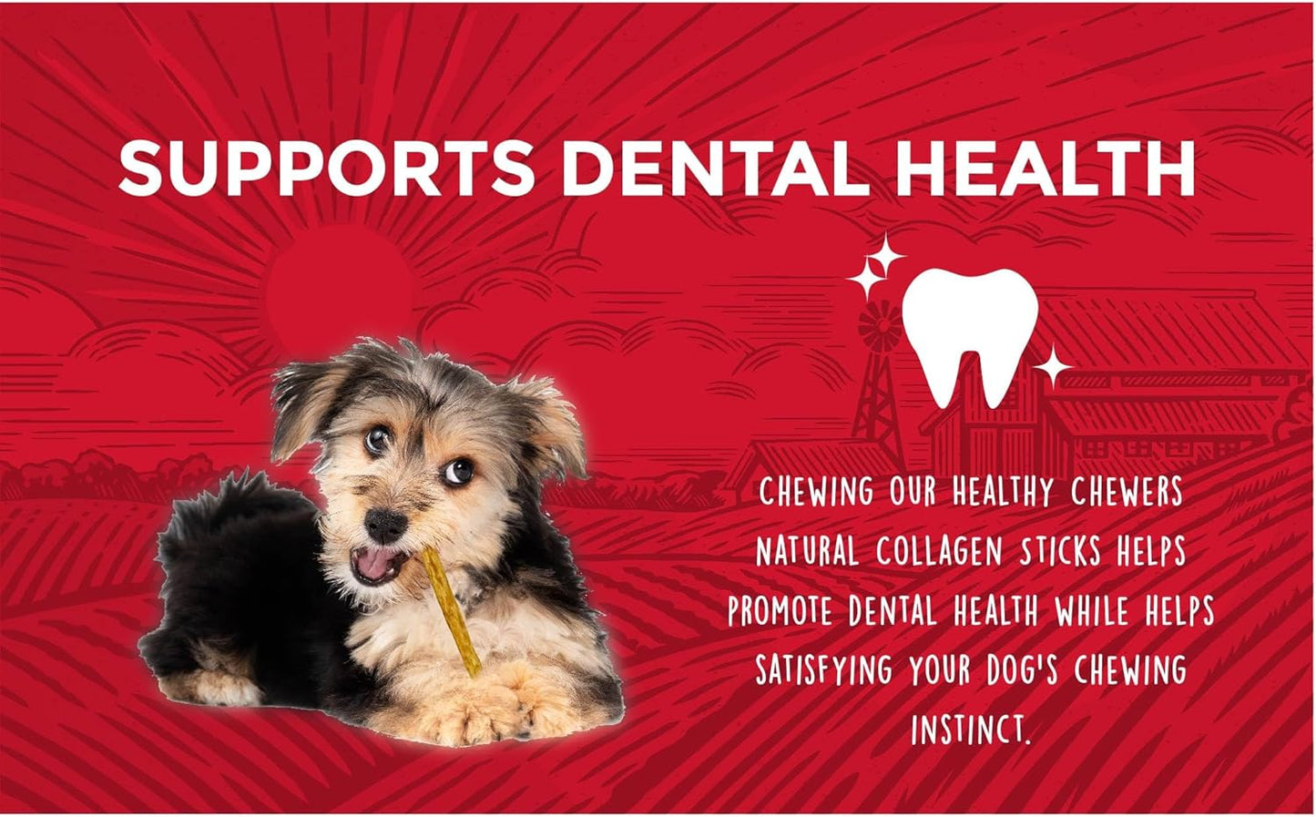 | Healthy Chewers | Natural Collagen and Beef Sticks for Dogs | 100 Count | High Protein and Limited Ingredient Dog Chews