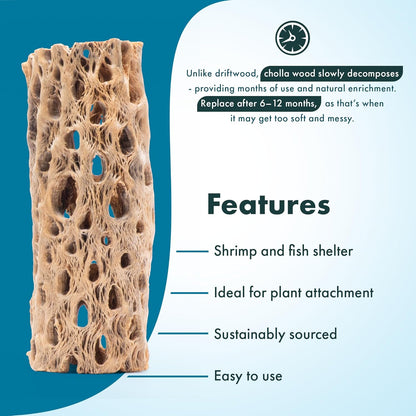 SubstrateSource Natural Cholla Wood - Driftwood for Aquariums, Air Plant Base, Hermit Crab and Freshwater Shrimp Hideout, Fish Tank Decoration, Chinchilla Chews, Reptile Habitat Wood - 4 Inch, 3pc