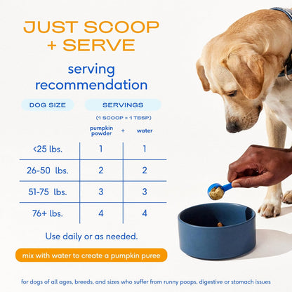 Native Pet Organic Powder Pumpkin Puree Dog Food Toppers, Rich in Fiber Supplement Powder Helps with Digestion, Nutrient Absorption, Diarrhea, Constipation & Upset Stomach, 8 oz (30 Scoops)