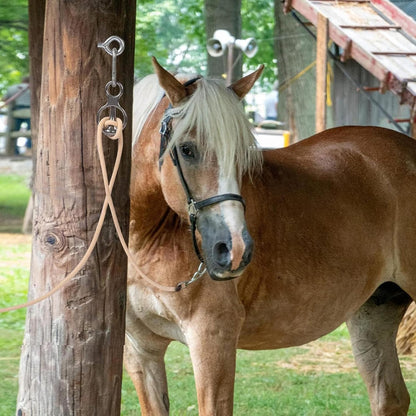 Tie Ring for Horses - Stainless Steel Heavy Duty Pull Back Release | Horse tack and Supplies,Indoor Outdoor Stall Stable for Horse Care