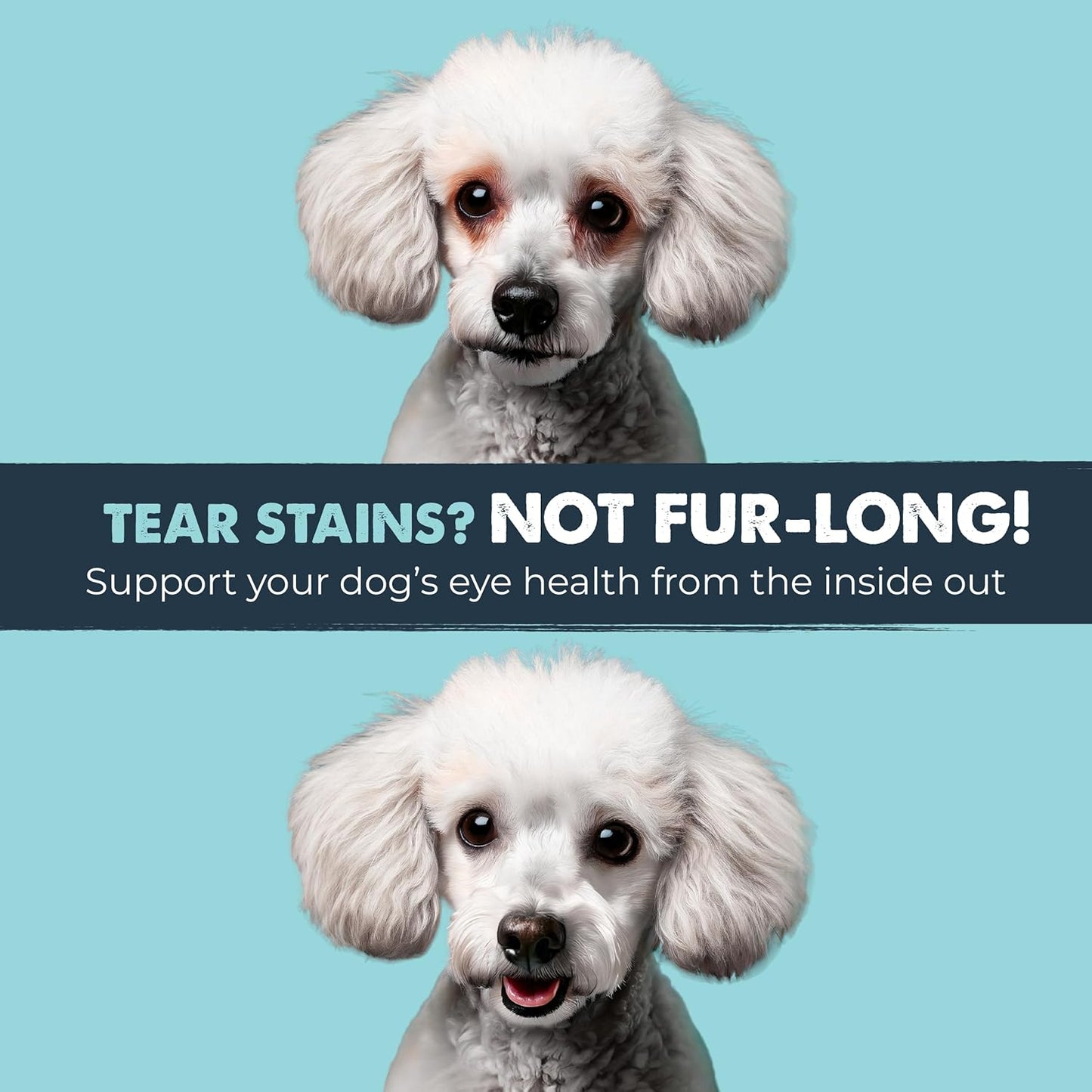 Mighty Paw Waggables Eyes (Made in USA) | Tear Stain Chews for Dogs. Vision and Tear Stain Support Supplements for Dogs. Lutein Supplement. Lubricates Eyes, Immune Support (120 Ct)