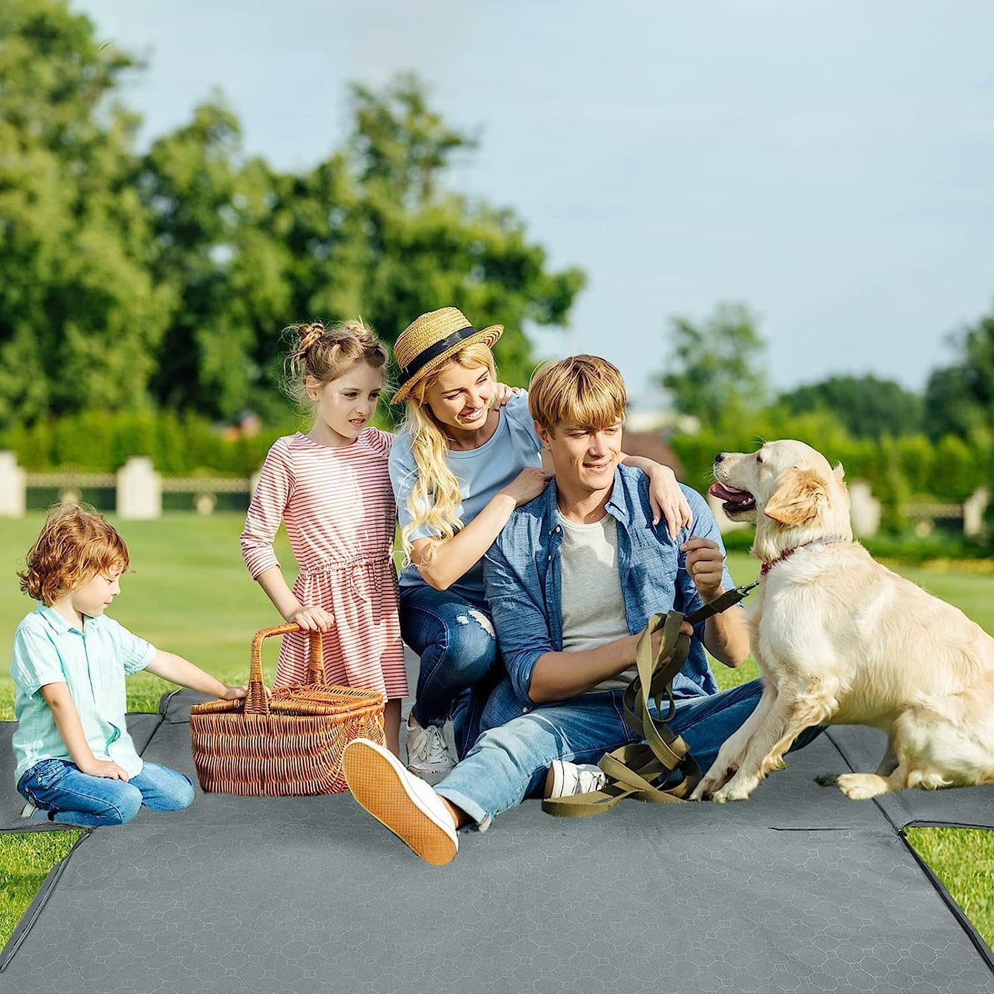 Mancro Dog Car Seat Cover for Back Seat, 2025 Upgraded 600D Heavy Duty Waterproof & Scratch-Resistant Dog Hammock for Car, Back Seat Pet Cover for Dogs with Sedan, Trucks and SUVs, Standard, Grey