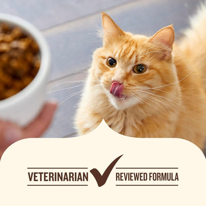 Nutrish Indoor Complete Premium Natural Dry Cat Food, Chicken with Lentils & Salmon Recipe, 14 Pounds (Packaging May Vary)