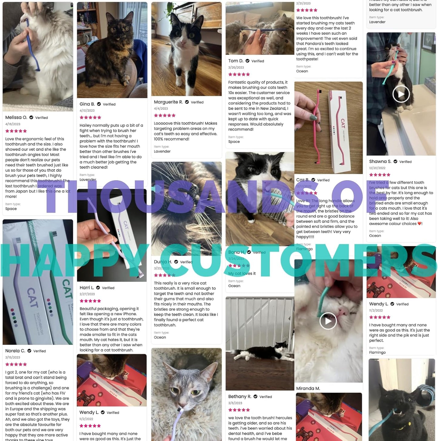 RYERCAT Set of 2 Dual Sided Cat Toothbrush - Kitten Toothbrush with Micro Head to fit into Cat/Kittens Mouth - Cat Dental Care Supplies - Pet Toothbrush for Cats(Amethyst Purple & Ocean Blue)