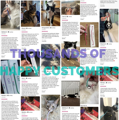 RYERCAT Set of 2 Dual Sided Cat Toothbrush - Kitten Toothbrush with Micro Head to fit into Cat/Kittens Mouth - Cat Dental Care Supplies - Pet Toothbrush for Cats(Amethyst Purple & Ocean Blue)