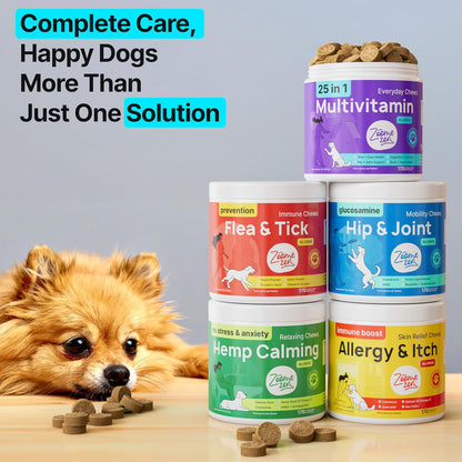 Dog Multivitamin Chewable with Glucosamine, Chondroitin & Probiotics – Dog Vitamins And Supplements – Skin, Hip & Joint, Immune - Puppy, Senior Dogs Supplements, 1 pack 170 Count, Made in USA