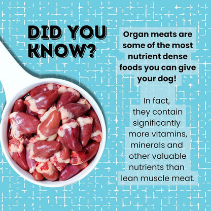 Hotspot Pets Freeze Dried Chicken Treats for Cats & Dogs -1LB Big Bag- Made in USA - Single Ingredient - Resealable Bag, All Natural Grain-Free Chicken Breast- Perfect for Training, Topper or Snack
