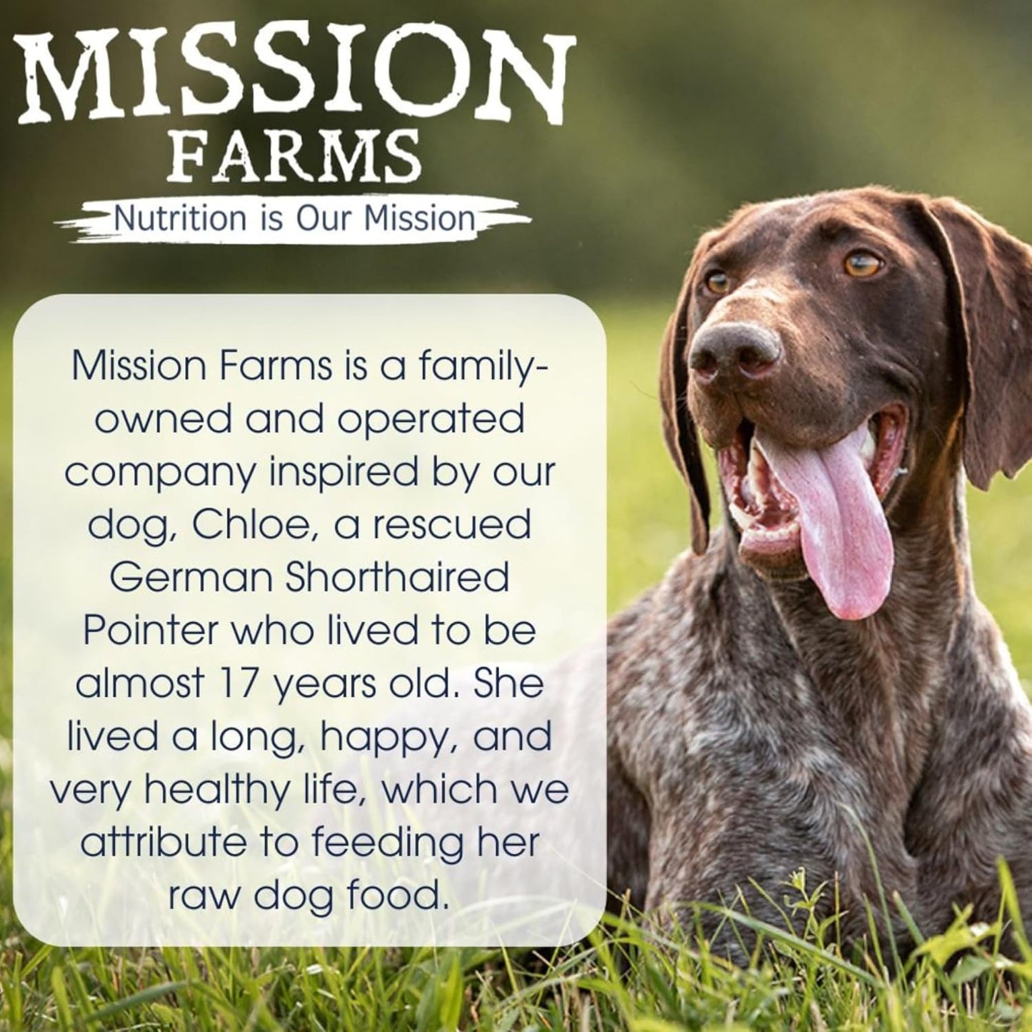 Mission Farms Wild Caught Salmon & Pumpkin Freeze-Dried Raw Dog Food Formula Complete & Balanced Meal for All Ages, 14 oz