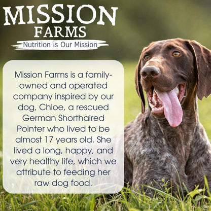Mission Farms Wild Caught Salmon & Pumpkin Freeze-Dried Raw Dog Food Formula Complete & Balanced Meal for All Ages, 14 oz