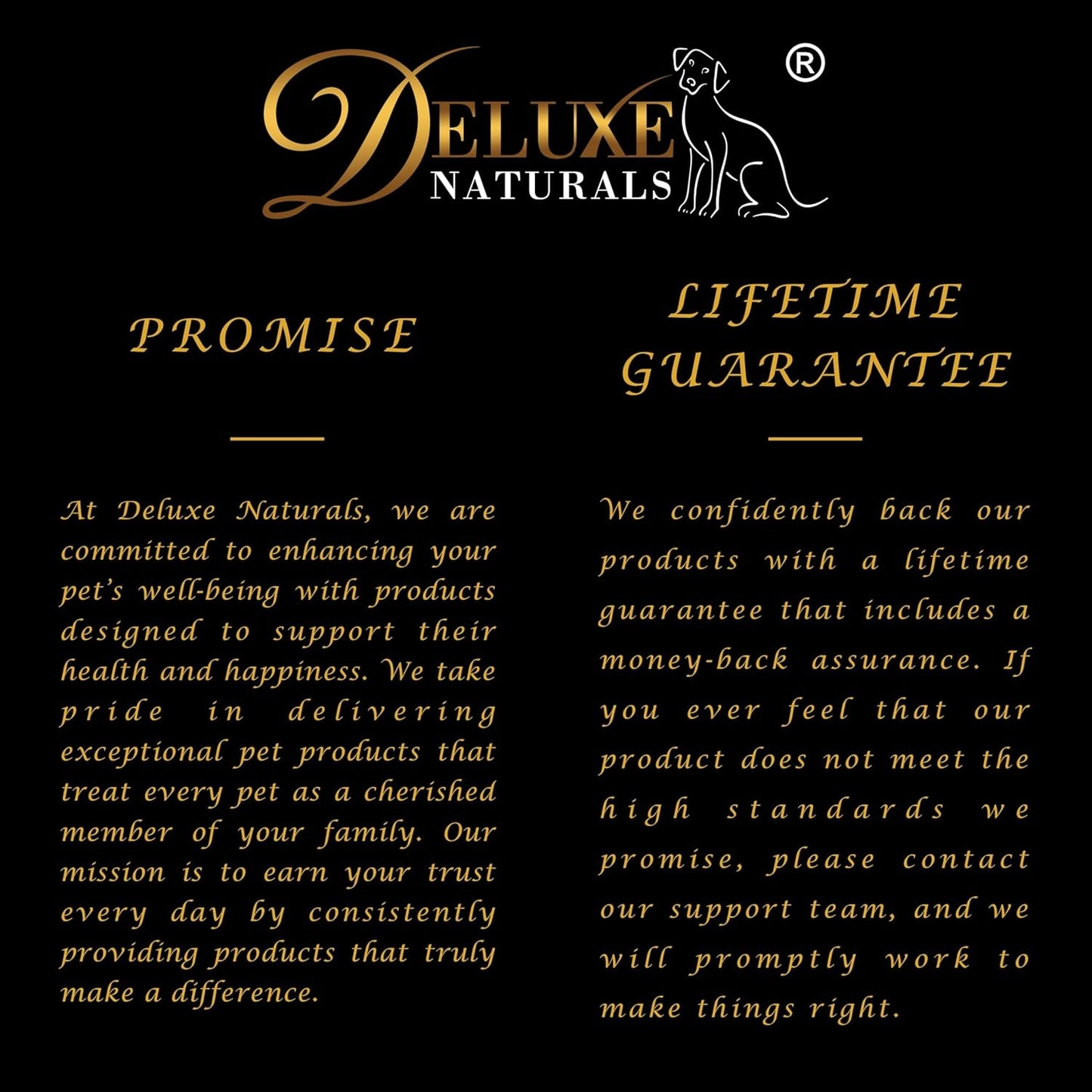 Rich Omega-3 Fish Oil for Dogs & Cats | Natural EPA + DHA Fatty Acids for Shiny Coat, Reduce Itchy Skin, Support Joint Function, Immune & Heart Health, 16 FL OZ