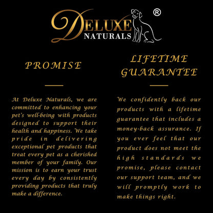 Rich Omega-3 Fish Oil for Dogs & Cats | Natural EPA + DHA Fatty Acids for Shiny Coat, Reduce Itchy Skin, Support Joint Function, Immune & Heart Health, 16 FL OZ