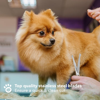 Boshel Razor-Sharp Stainless Steel Dog Grooming Scissors for Grooming Professionals at Home with Rounded Safety Tips, 2 Pack