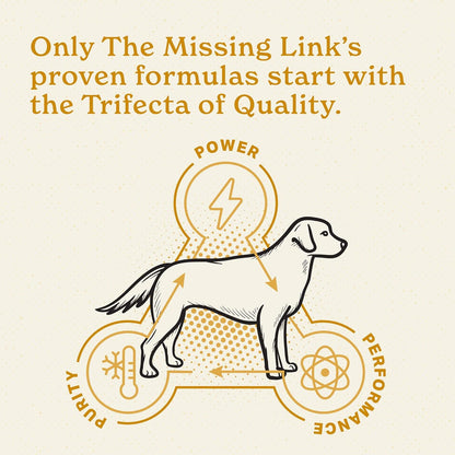 The Missing Link Skin & Coat + Probiotics Supplement 1lb Bag - Powerful Superfood Powder for Dogs Supports Healthy Skin & Glossy Coat, Promotes Hair Growth