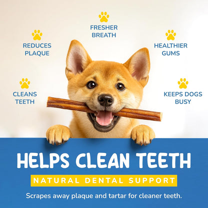 CHARLEY & ME All-Natural Bully Sticks for Dogs Made in The USA - Low-Odor, Rawhide-Free 6” Beef Chews for Aggressive Chewers & Dental Health (Pack of 12)