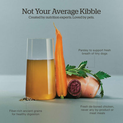 Now Fresh Good Gravy Premium Dry Dog Food with Chicken & Ancient Grains for Small Breeds, Healthy Kibble for Adults Coated in Bone Broth – Just Add Water to Moisten, Made with Real Meat, 12 lb Bag