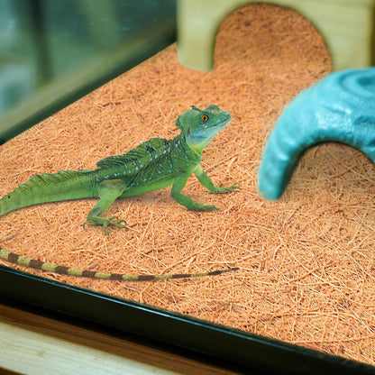 Halatool 12″×30″ Reptile Carpet for 20 Gallon Reptile Tank, 2 Pack Coconut Fiber Mat Thick Terrarium Bedding Cage Liner Tortoise Habitat Accessories for Turtles Lizard Bearded Dragon Leopard Gecko