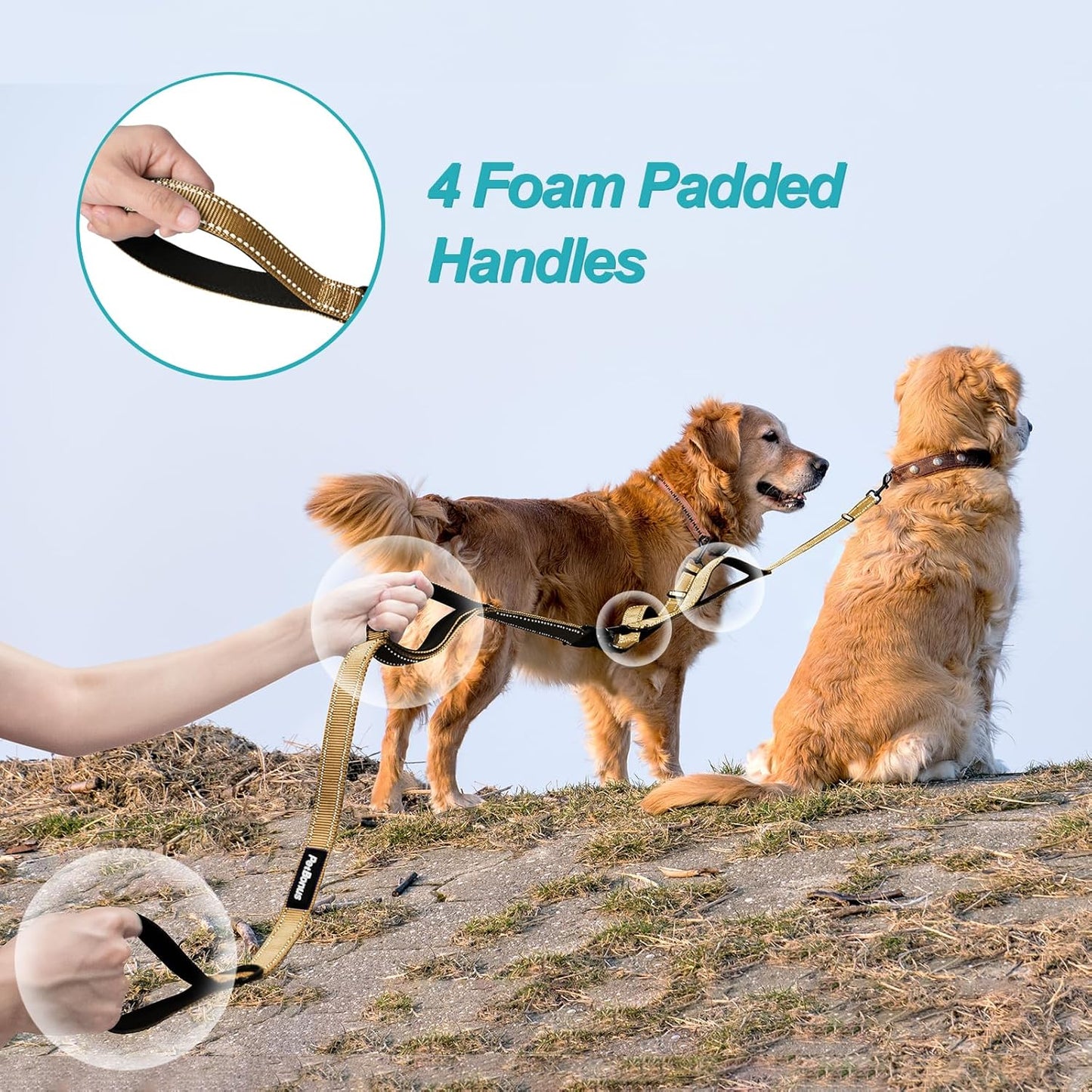 PetBonus No Tangle Double Dog Leash and Dog Seat Belt for Car