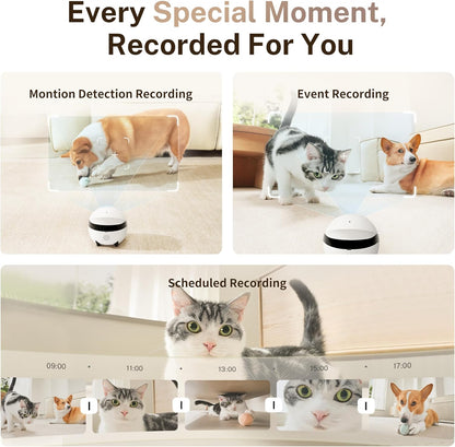 Enabot EBO ROLA Mini FamilyBot 2K Pet Camera Robot: Movable Indoor Camera Battery-Powered with Phone App, One-Touch Call, 2-Way Talk, Night Vision, Motion Detection, Video Recording