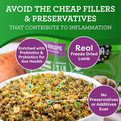 Dr. Harvey's Specialty Diet Limited Ingredient - Human Grade Dog Food for Dogs with Sensitivities - Lamb Recipe (5 Pounds)