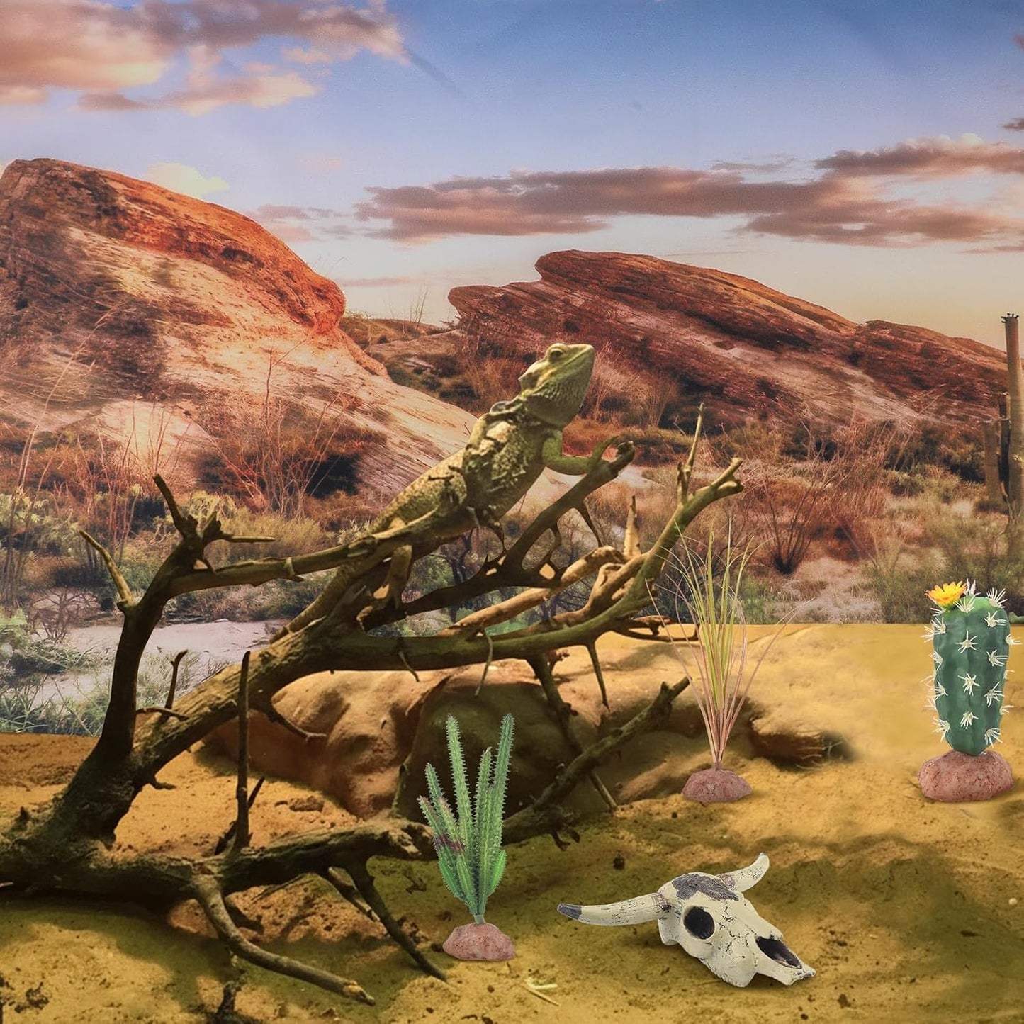 Bearded Dragon Tank Background 35 x 17 Inches Reptile Habitat Terrarium Background Blue Sky Cactus Sun and Desert Rain Forest Plant for Lizard Chameleon Gecko Snake Amphibian Terrarium Decor