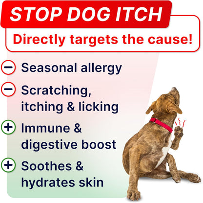 Allergy Relief + Probiotics Dogs Bundle - Itchy Skin Treatment + Digestive Enzymes - Omega 3 & Pumpkin + Prebiotics - Dogs Itching & Licking Treats + Improve Digestion - 240 Chews - Made in USA