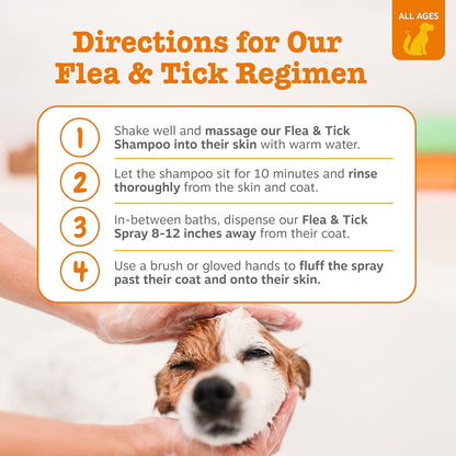 Zesty Paws Flea and Tick Spray for Dogs - Kill Fleas, Ticks & Their Eggs - Veterinarian Formulated - Soothes Itchy & Irritated Dog Skin - Cedarwood Oil, Rosemary Oil & Peppermint Oil