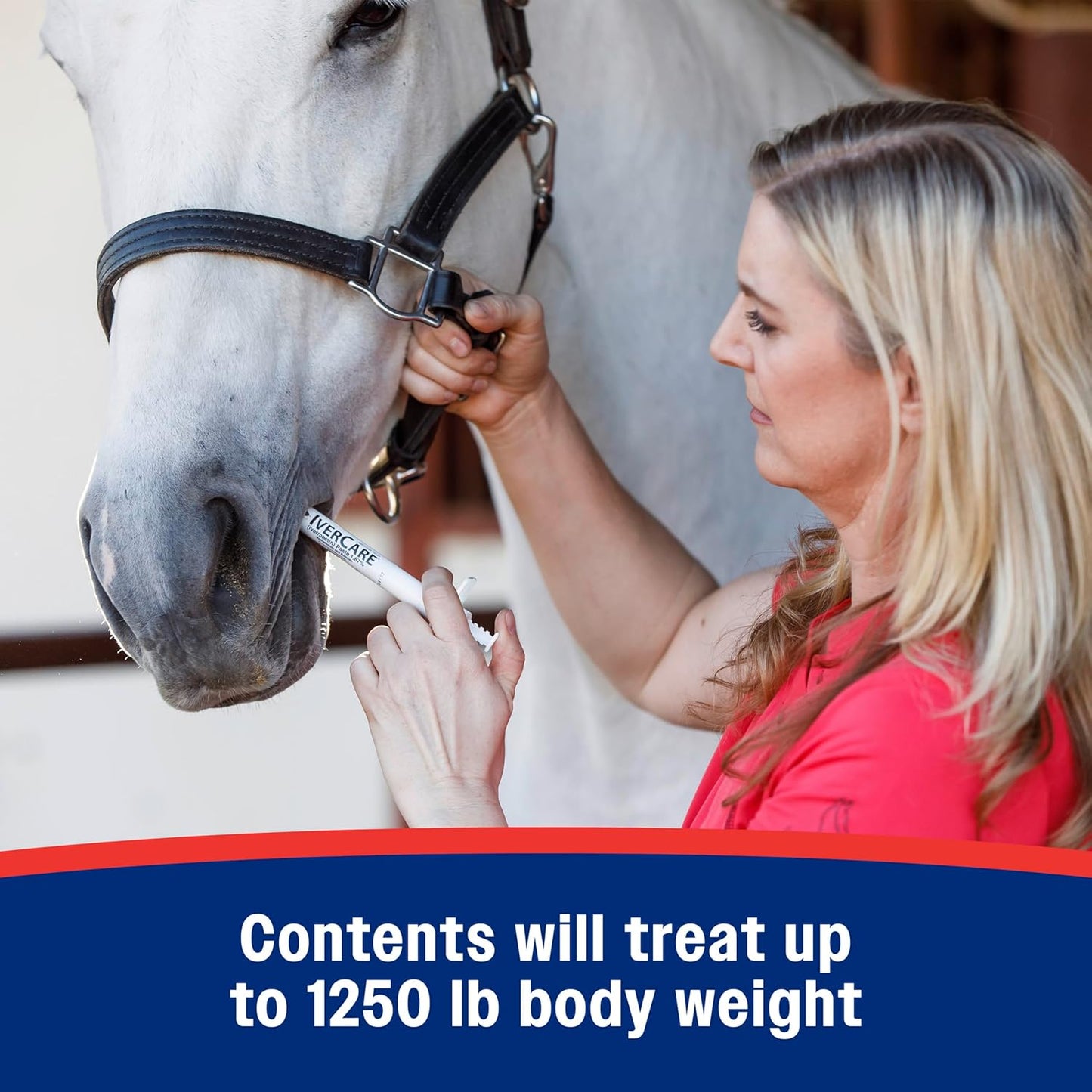 Farnam IverCare (ivermectin Paste) 1.87% for Horses, Anthelmintic and Boticide, 0.21 Ounces, Horse Dewormer, Ivermectin Apple-Flavored Paste, Up to 1,250 lbs