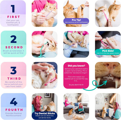 RYERCAT Flamingo Dual Sided Cat Toothbrush - Micro Head ToothBrush to fit into Cat's Mouth - Cat Dental Supplies