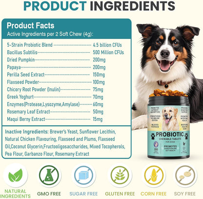 Probiotics for Dogs Gut Digestive Health Probiotic Chew for Dogs Digestive Enzymes Relieve Diarrhea Immunity Oral Problems Itching Constipation Prebiotics Dog Probiotics 200 Tablets Chicken Flavor