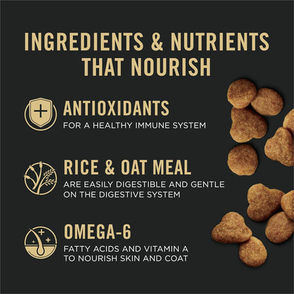 Purina Pro Plan Sensitive Skin and Stomach Adult Cat Food Salmon and Rice Formula - 7 lb.