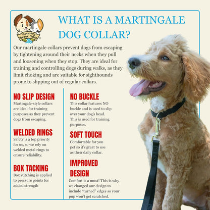Country Brook Petz - Martingale Dog Collar - Heavy-Duty Training Collar with No Buckle - Service Dog Collar for All Pups - 10+ Cool Colors (Black, 1 Inch, Medium)