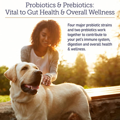 Rx Vitamins Rx Biotic - Probiotic Powder for Dogs and Cats - Cat Digestive Support & Probiotic for Dogs Gut Health - Dog Probiotics for Digestive Health - 1.25oz