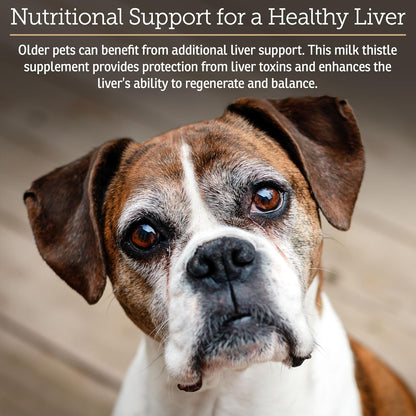 Rx Vitamins Liquid Hepato Support for Dogs & Cats - Liver Support Supplement with Milk Thistle for Dogs (Silymarin & Silybinin) and Vitamin B - Bacon Flavor (4oz)