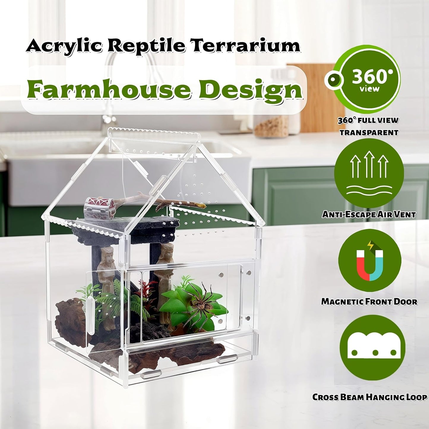 Acrylic Jumping Spider Enclosure with Magnetic Front Door - 360° View Reptile Terrarium for Tarantulas, Insects Hermit Crab - Includes Hanging Beam & Escape-Proof Ventilation (7.87x5.9x5.9 Inch)