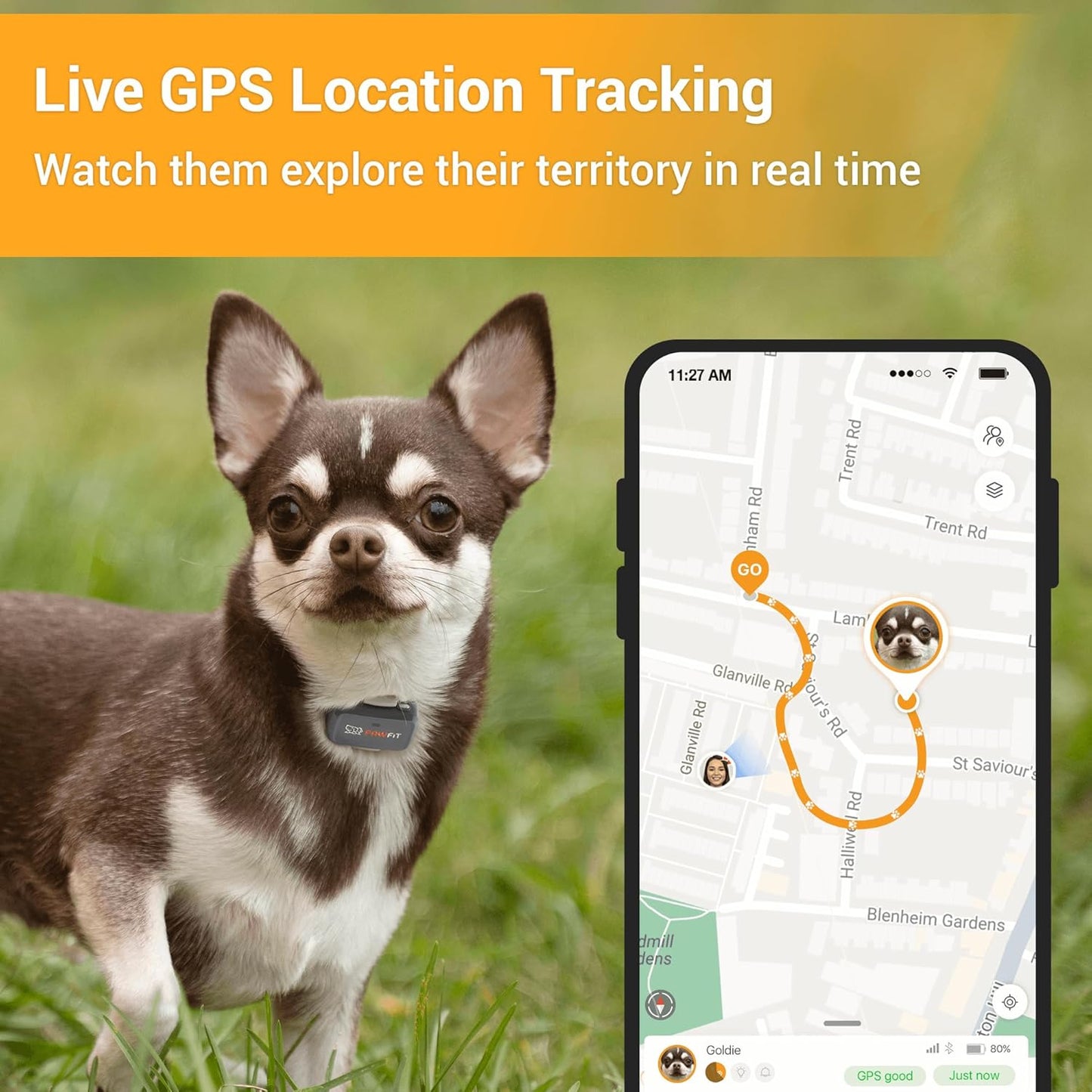 Pawfit Lite for Small Dogs 4g GPS Tracker | Real Time Tracking | Activity Monitoring |Location History | Unlimited Range | Lilac Grey