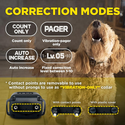Dogtra Smart NOBARK Detects Whining and Barking, 33 ft Range App for Notifications, E-Collar, Behavior Report, Waterproof IPX9K, Compact Size for 10 lb Dogs, Triple Detection Accuracy