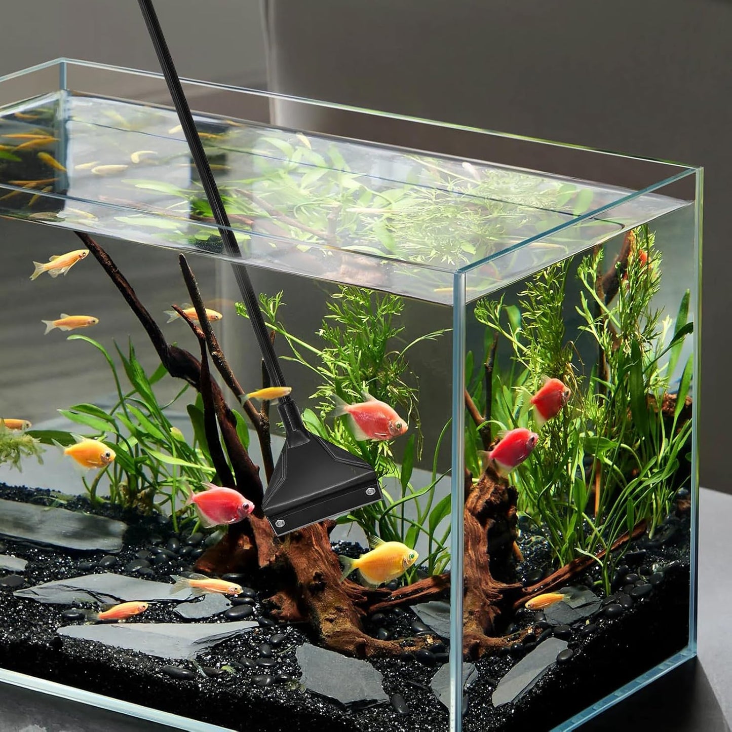 Algae Scraper for Glass Aquariums, Stainless Steel Fish Tank Cleaner Tool with 10 Blades, 25.6" Adjustable Handle Aquarium Glass Cleaning Accessories