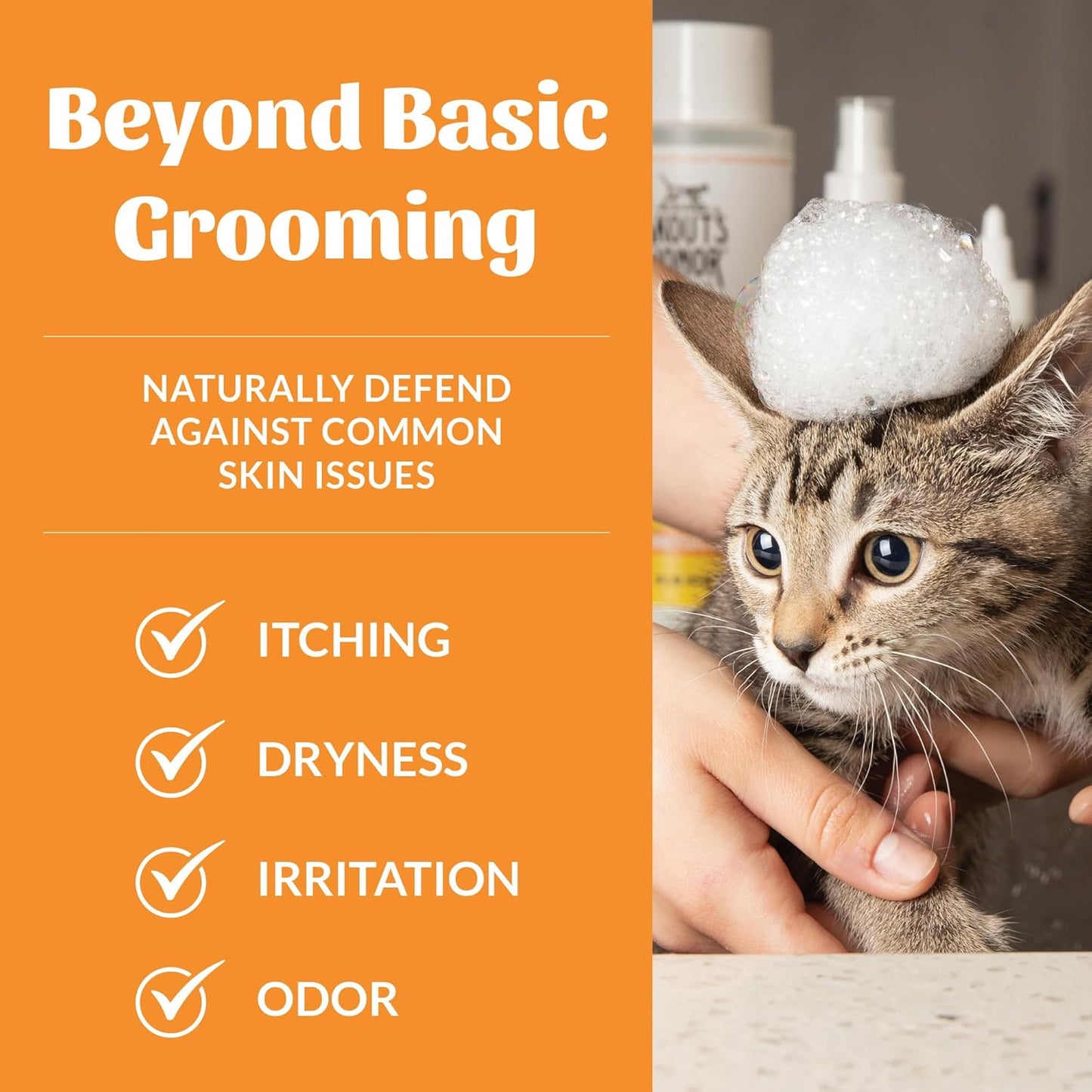 Skout's Honor Probiotic Cat Shampoo & Conditioner with Avocado Oil & Omega-3s, 97% Natural, Paraben & Sulfate-Free, Cruelty-Free, Defend Against Itch, Dryness, Irritation. 16oz, Honeysuckle
