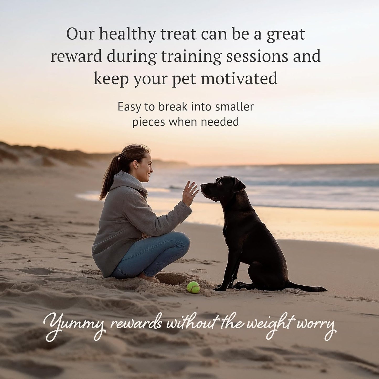 Freeze Dried Raw Dog Food, 100% Horse Meat, Allergy Relief, Monoprotein, Training Treats or Toppings, Single Ingredient, All Natural, for Puppies, Adults and Seniors, 3.17 oz Bag