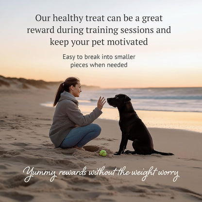 Freeze Dried Raw Dog Food, 100% Horse Meat, Allergy Relief, Monoprotein, Training Treats or Toppings, Single Ingredient, All Natural, for Puppies, Adults and Seniors, 3.17 oz Bag