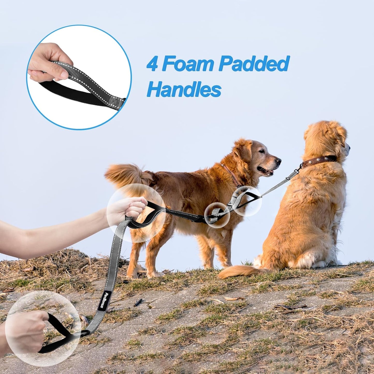 PetBonus No Tangle Double Dog Leash and Dog Seat Belt for Car